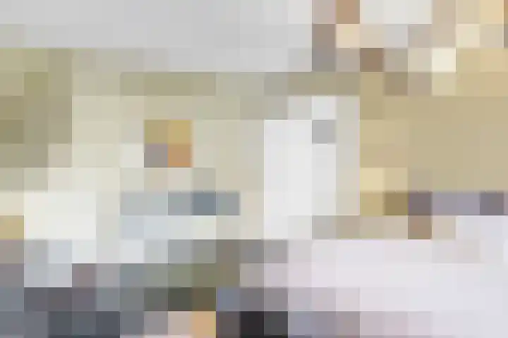 Kerstant van den Bergelaan 4 B Rotterdam thumbnail 28