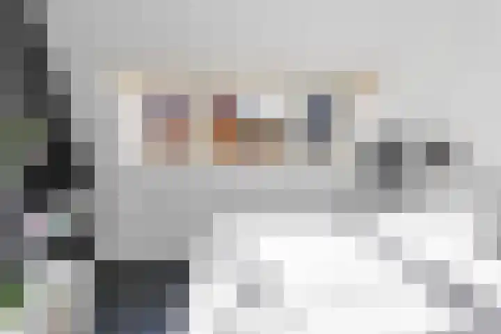 Kerstant van den Bergelaan 4 B Rotterdam thumbnail 33