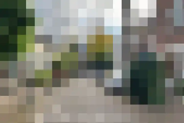 Kerstant van den Bergelaan 4 B Rotterdam thumbnail 43