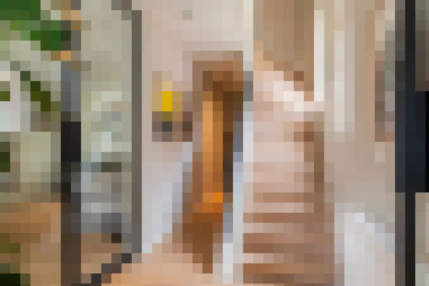 Kerstant van den Bergelaan 42 Rotterdam thumbnail 4