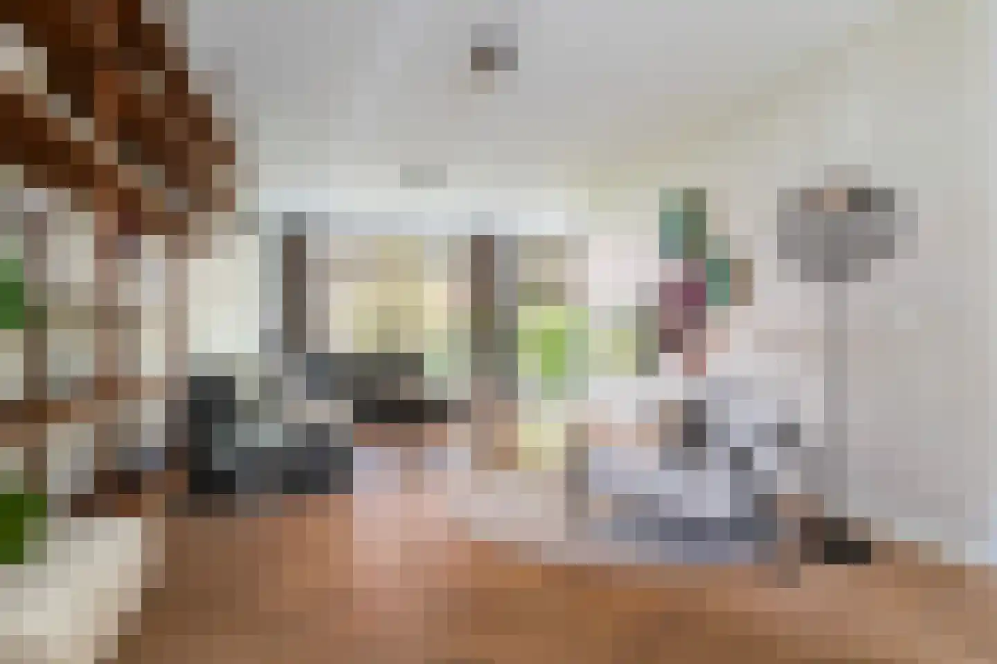 Kerstant van den Bergelaan 42 Rotterdam thumbnail 7