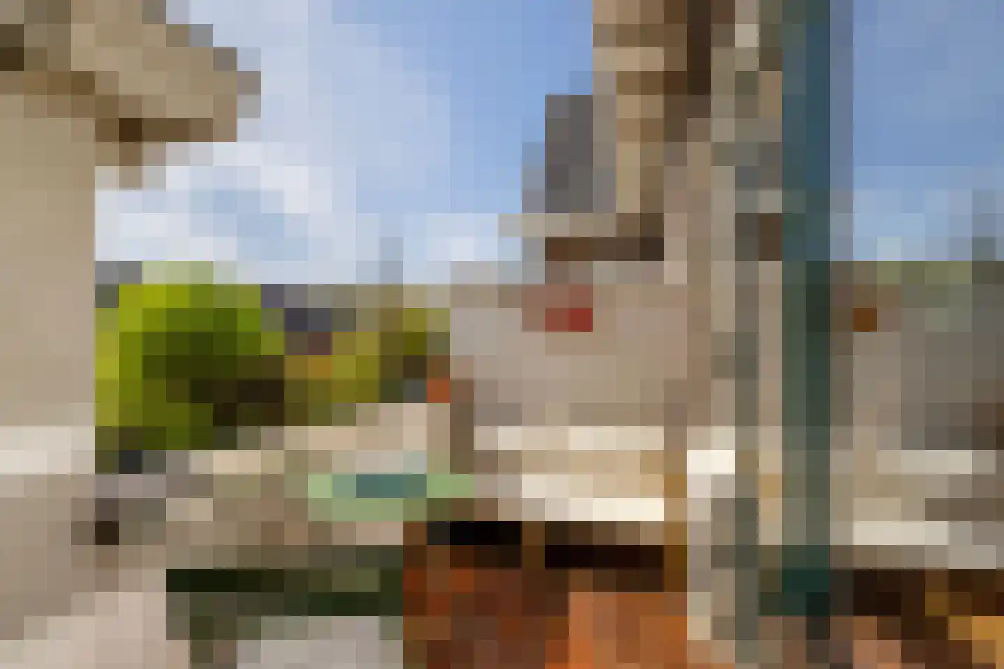 Kerstant van den Bergelaan 47 B Rotterdam thumbnail 15