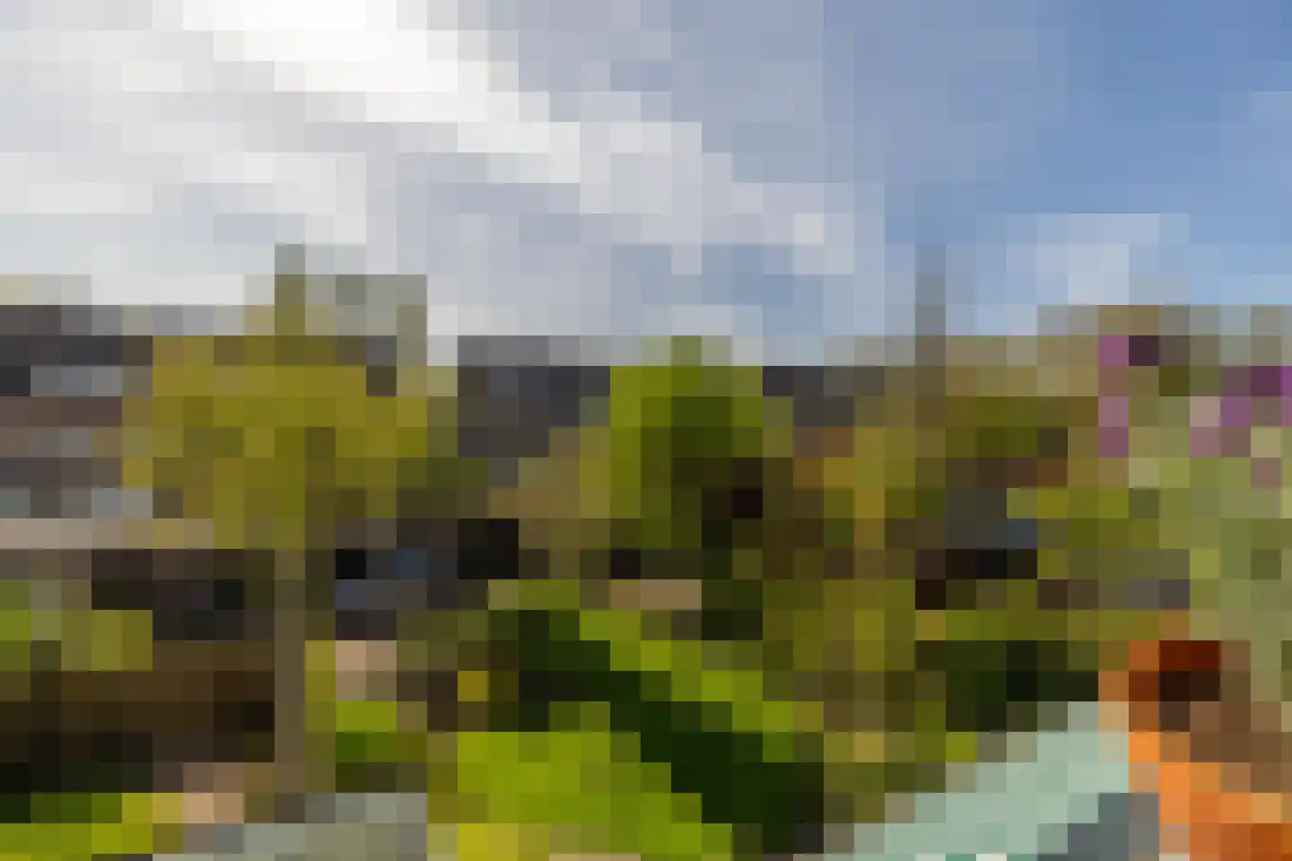 Kerstant van den Bergelaan 47 B Rotterdam thumbnail 16