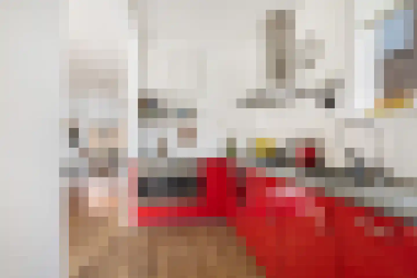Kerstant van den Bergelaan 47 B Rotterdam thumbnail 18