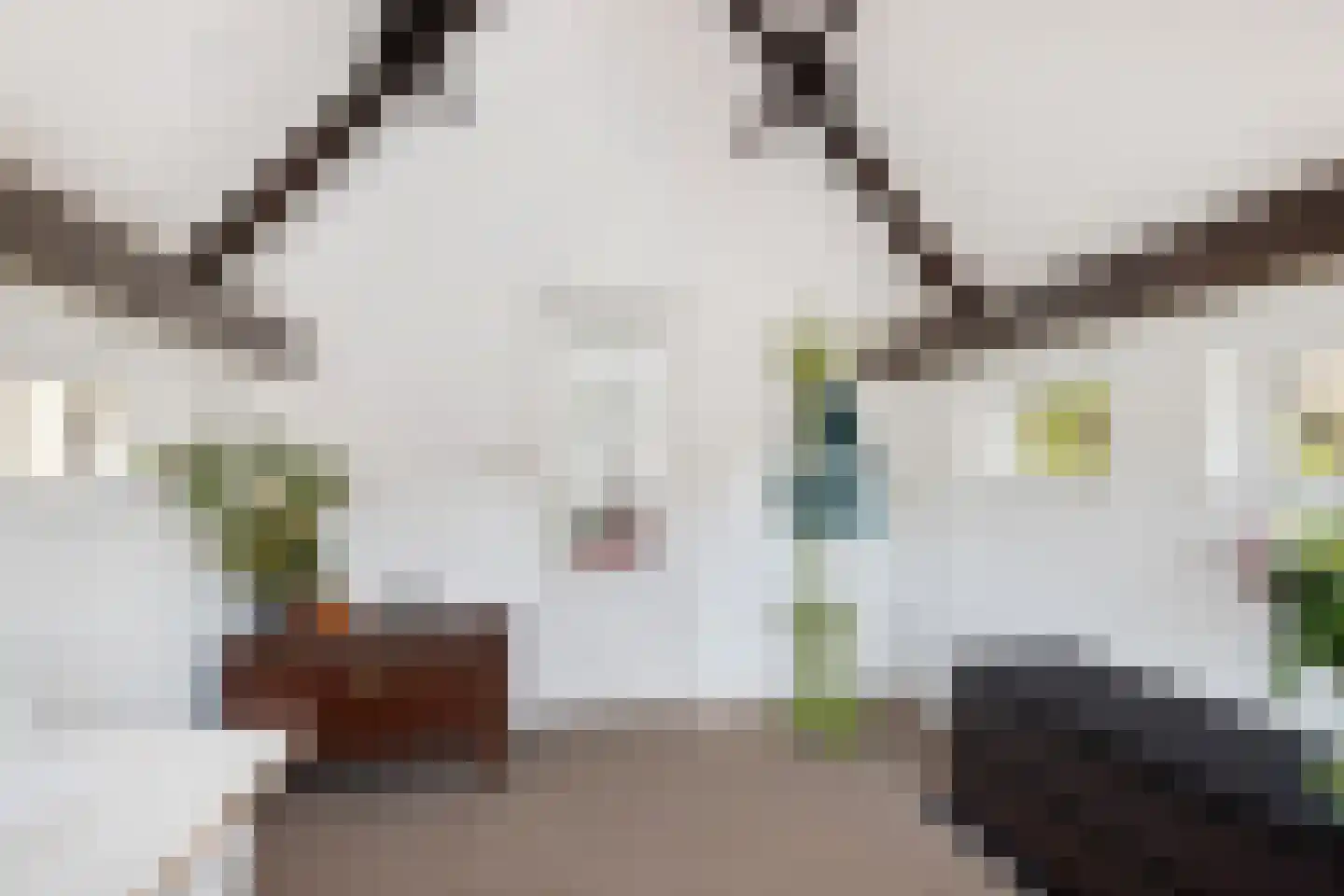 Kerstant van den Bergelaan 47 B Rotterdam thumbnail 22