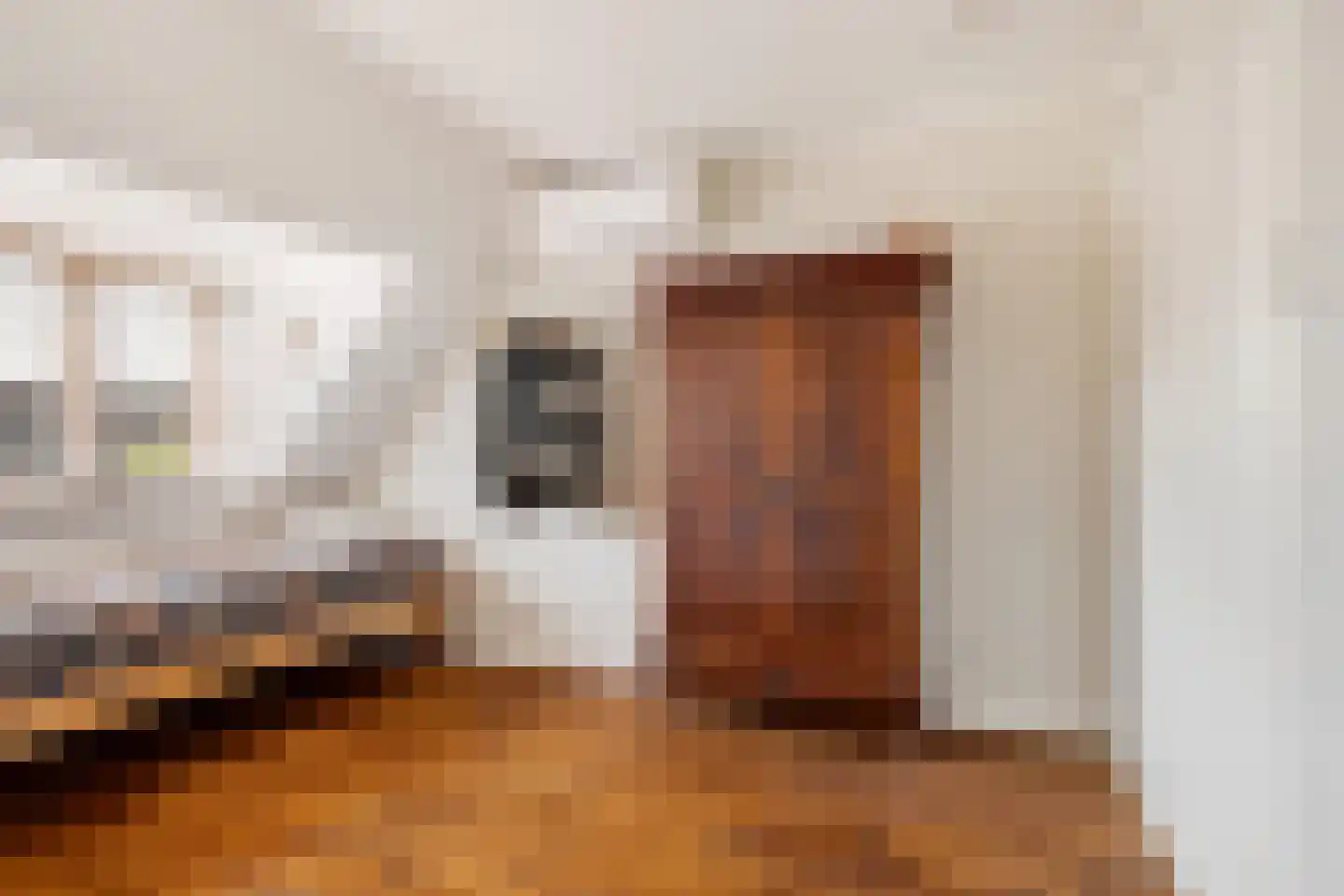 Kerstant van den Bergelaan 47 B Rotterdam thumbnail 29