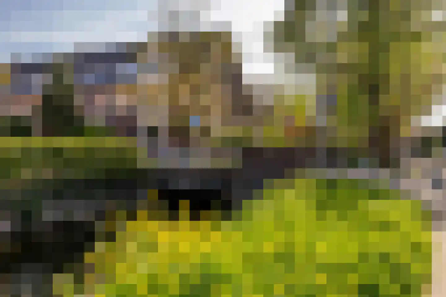 Kerstant van den Bergelaan 47 B Rotterdam thumbnail 38