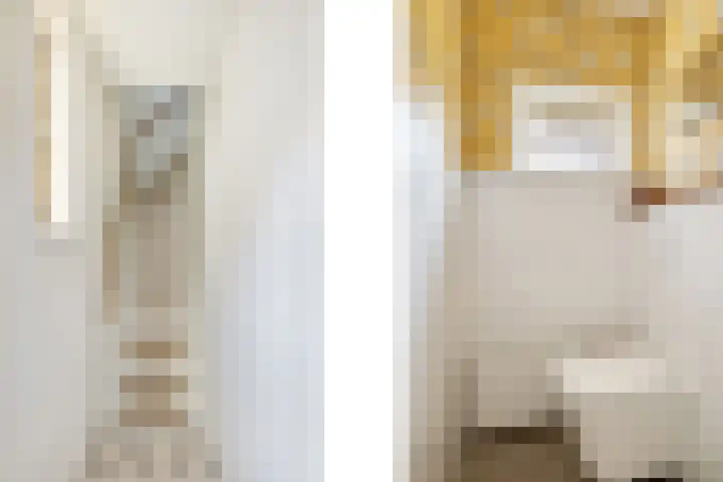 Kerstant van den Bergelaan 47 B Rotterdam thumbnail 7
