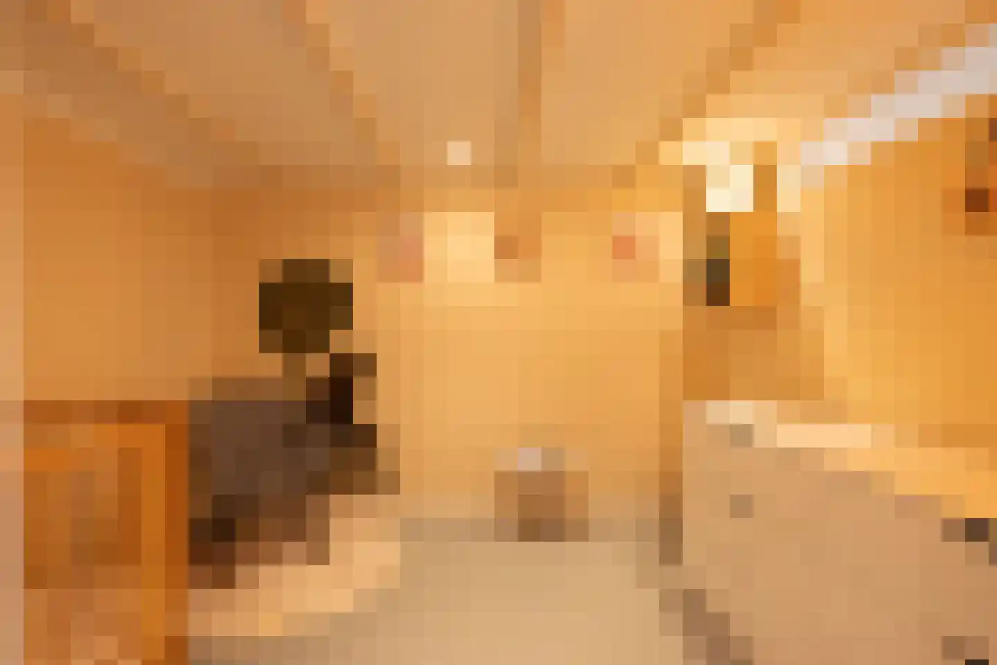 Kerstant van den Bergelaan 5 A Rotterdam thumbnail 21