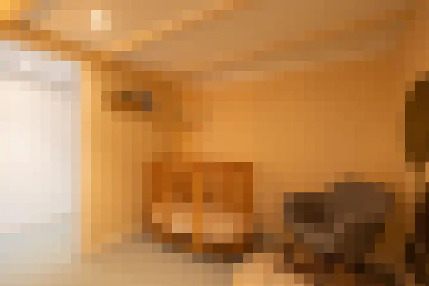 Kerstant van den Bergelaan 5 A Rotterdam thumbnail 22