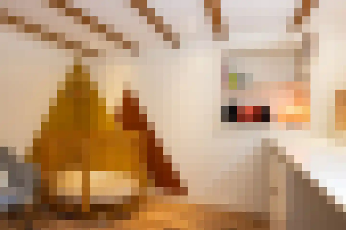 Kerstant van den Bergelaan 5 A Rotterdam thumbnail 24