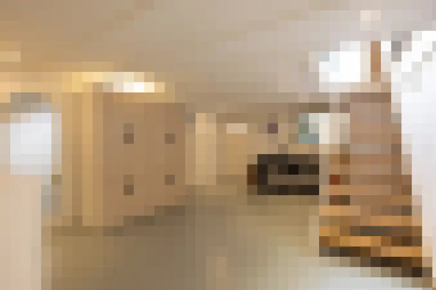 Kerstant van den Bergelaan 5 A Rotterdam thumbnail 27