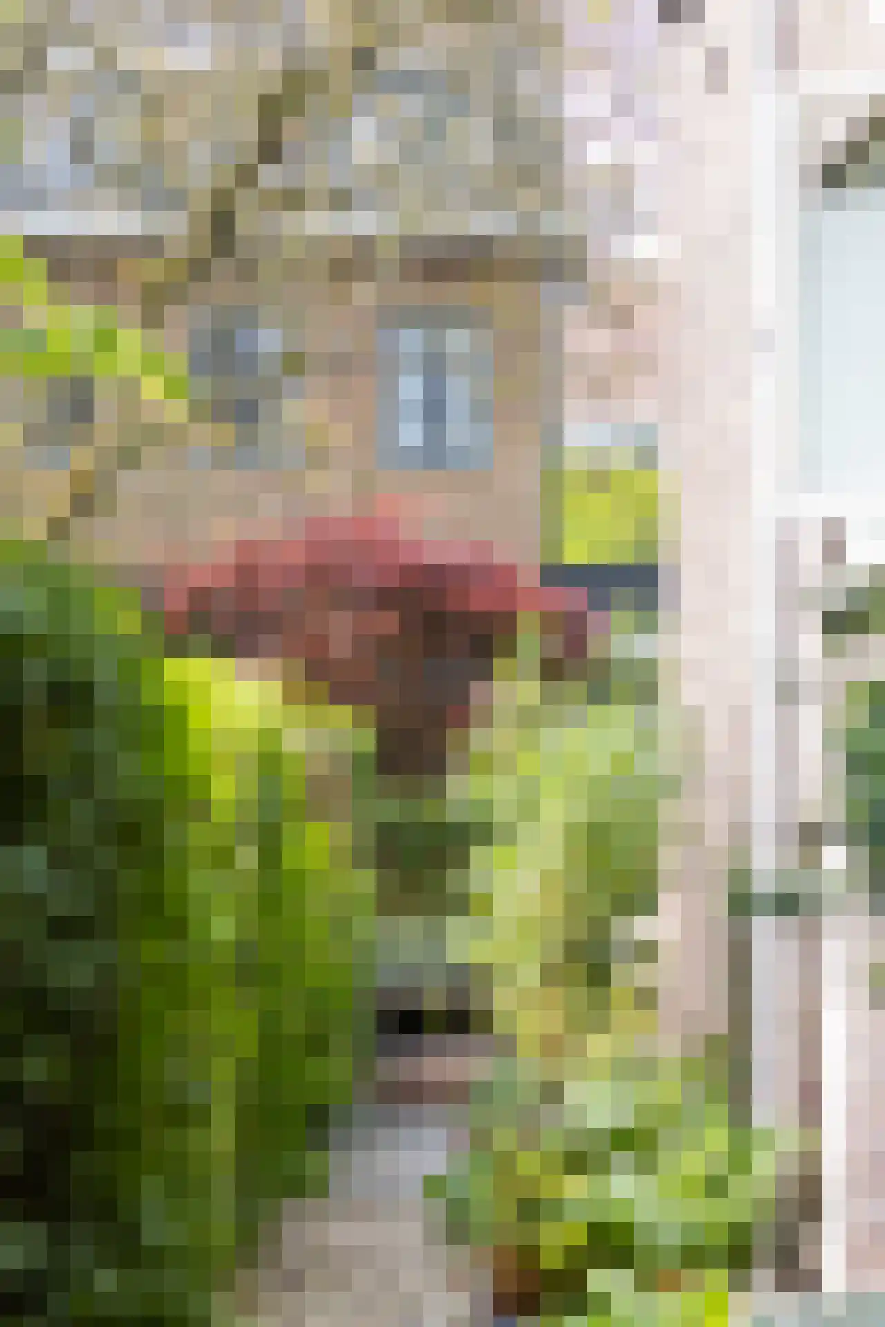 Kerstant van den Bergelaan 5 A Rotterdam thumbnail 31