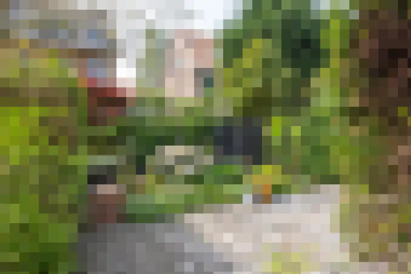 Kerstant van den Bergelaan 5 A Rotterdam thumbnail 33