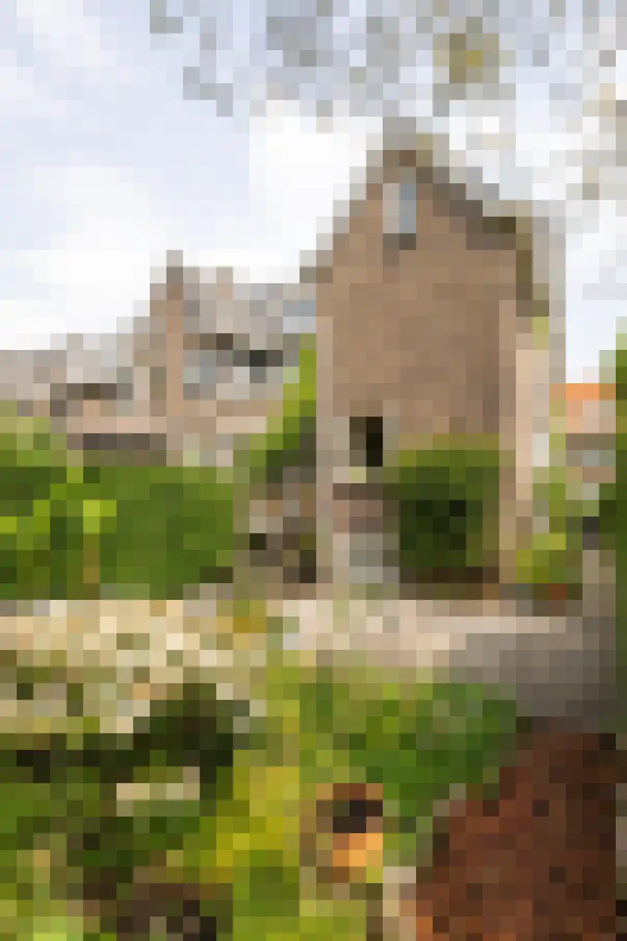 Kerstant van den Bergelaan 5 A Rotterdam thumbnail 34