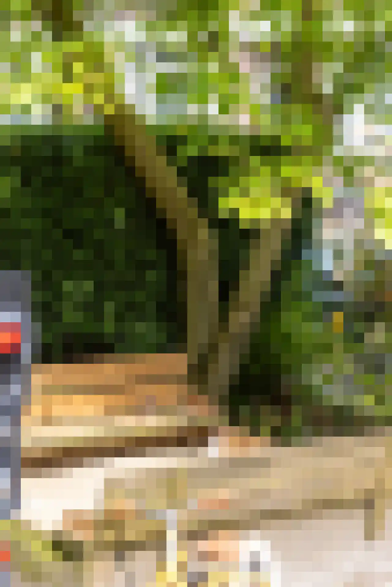 Kerstant van den Bergelaan 5 A Rotterdam thumbnail 37