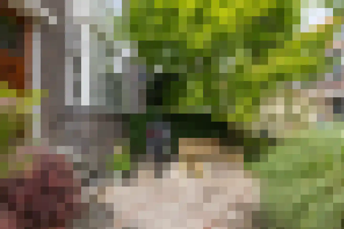 Kerstant van den Bergelaan 5 A Rotterdam thumbnail 38