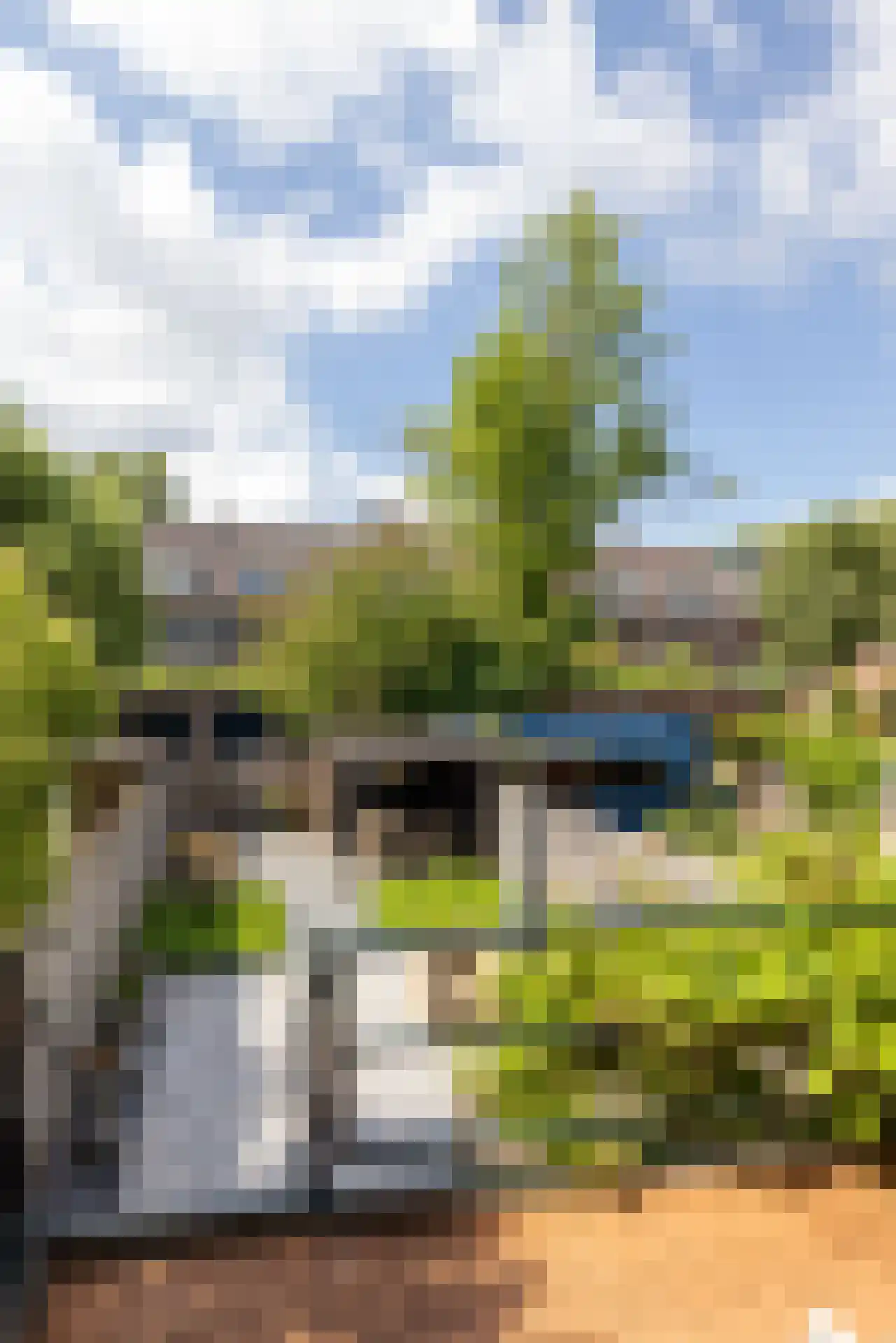Kerstant van den Bergelaan 55 Rotterdam thumbnail 39