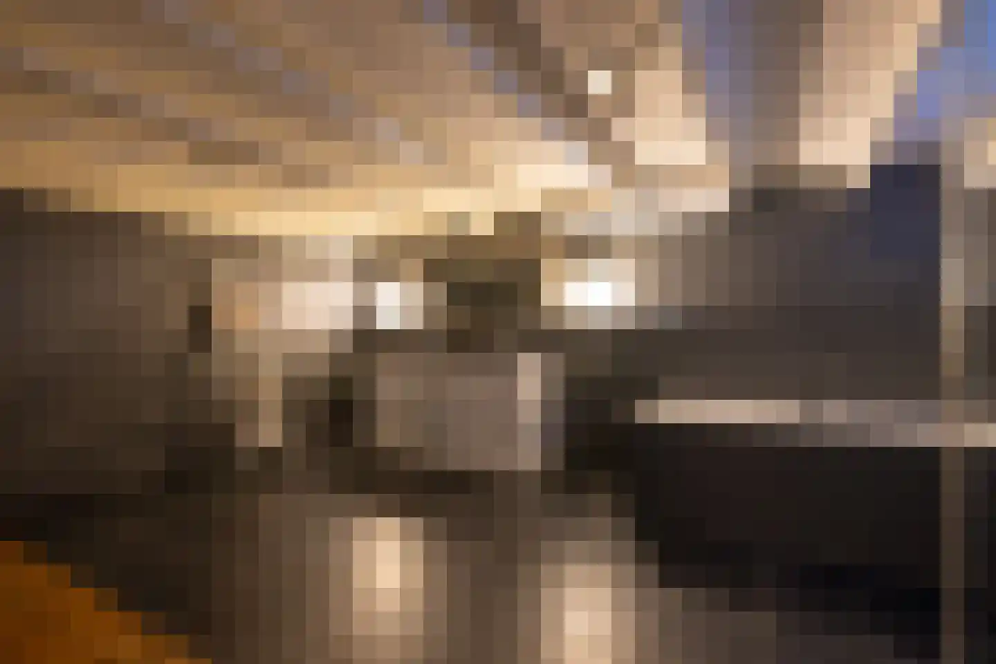 Kerstant van den Bergelaan 55 Rotterdam thumbnail 39