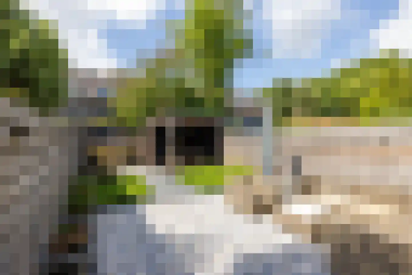 Kerstant van den Bergelaan 55 Rotterdam thumbnail 41