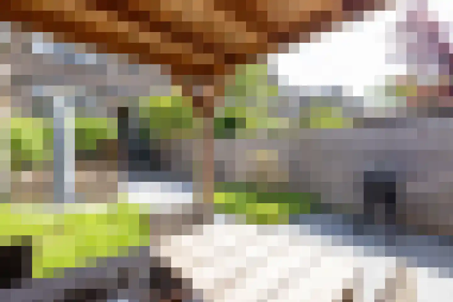 Kerstant van den Bergelaan 55 Rotterdam thumbnail 42