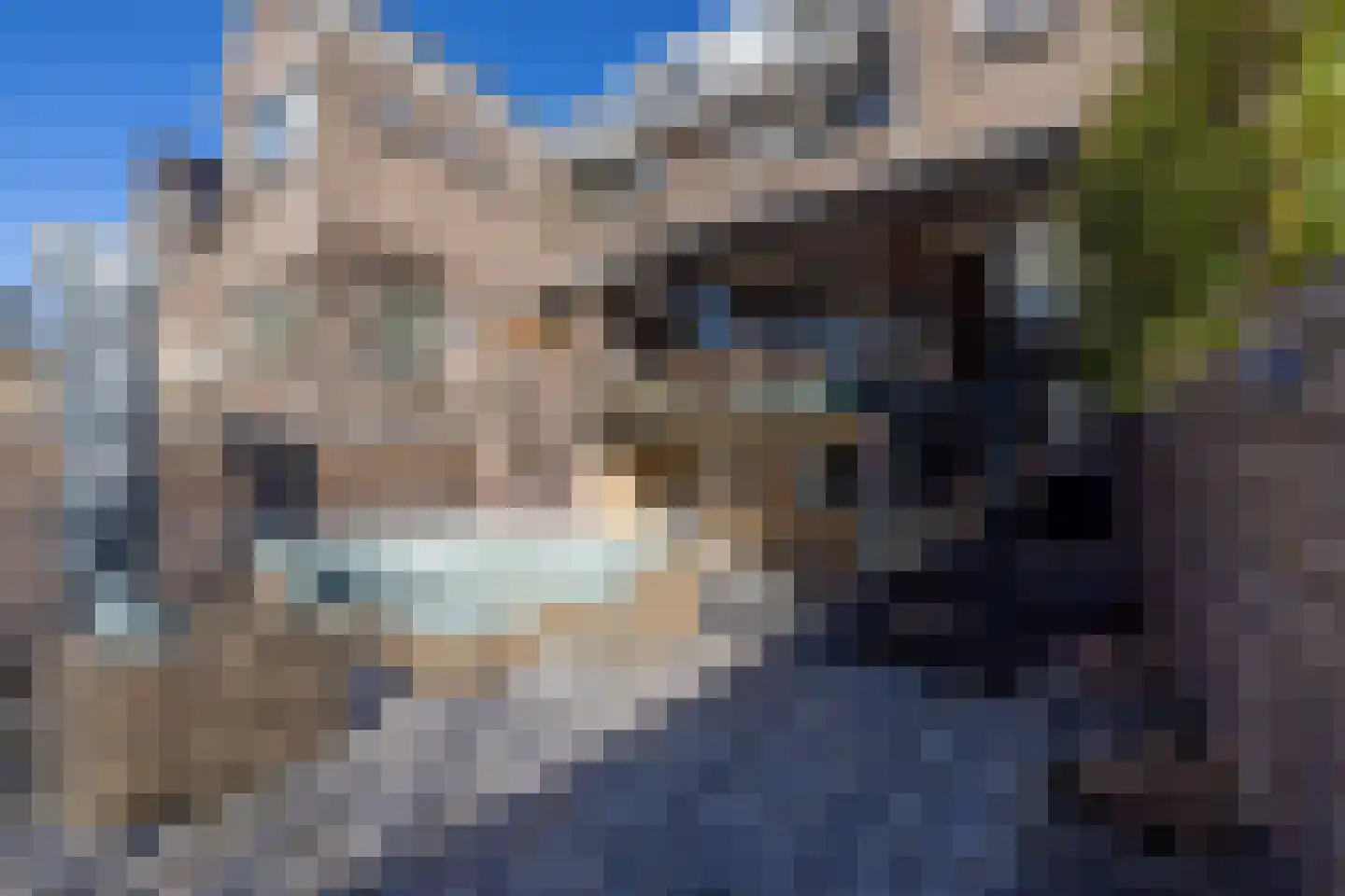 Kerstant van den Bergelaan 55 Rotterdam thumbnail 5