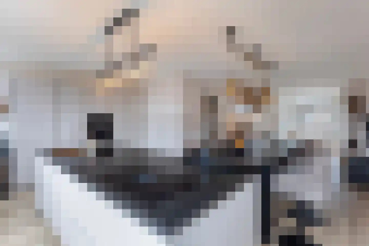 Kerstant van den Bergelaan 58 B Rotterdam thumbnail 10