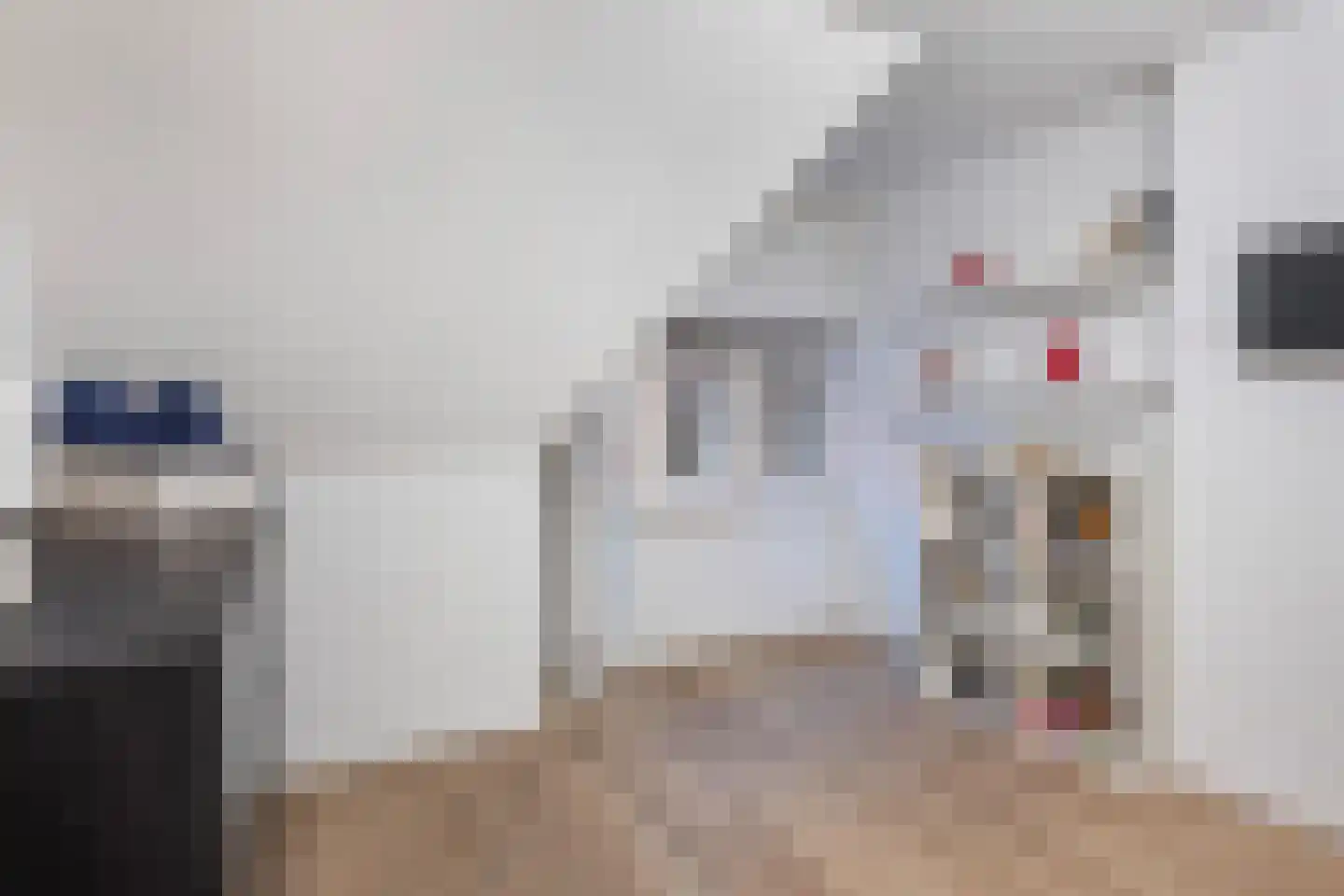 Kerstant van den Bergelaan 58 B Rotterdam thumbnail 16