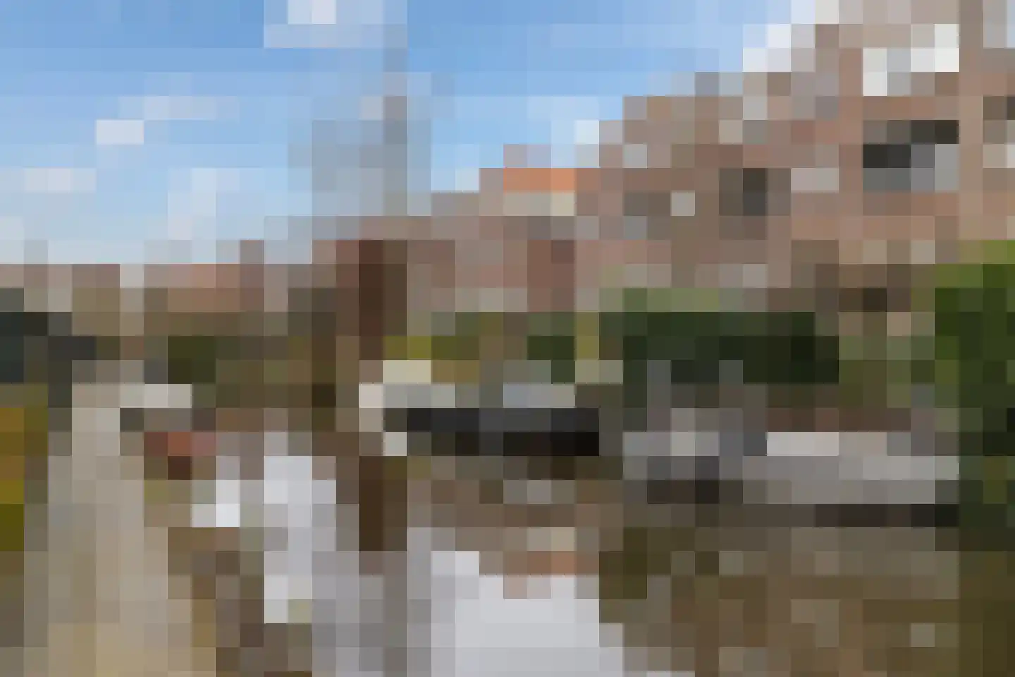Kerstant van den Bergelaan 58 B Rotterdam thumbnail 27