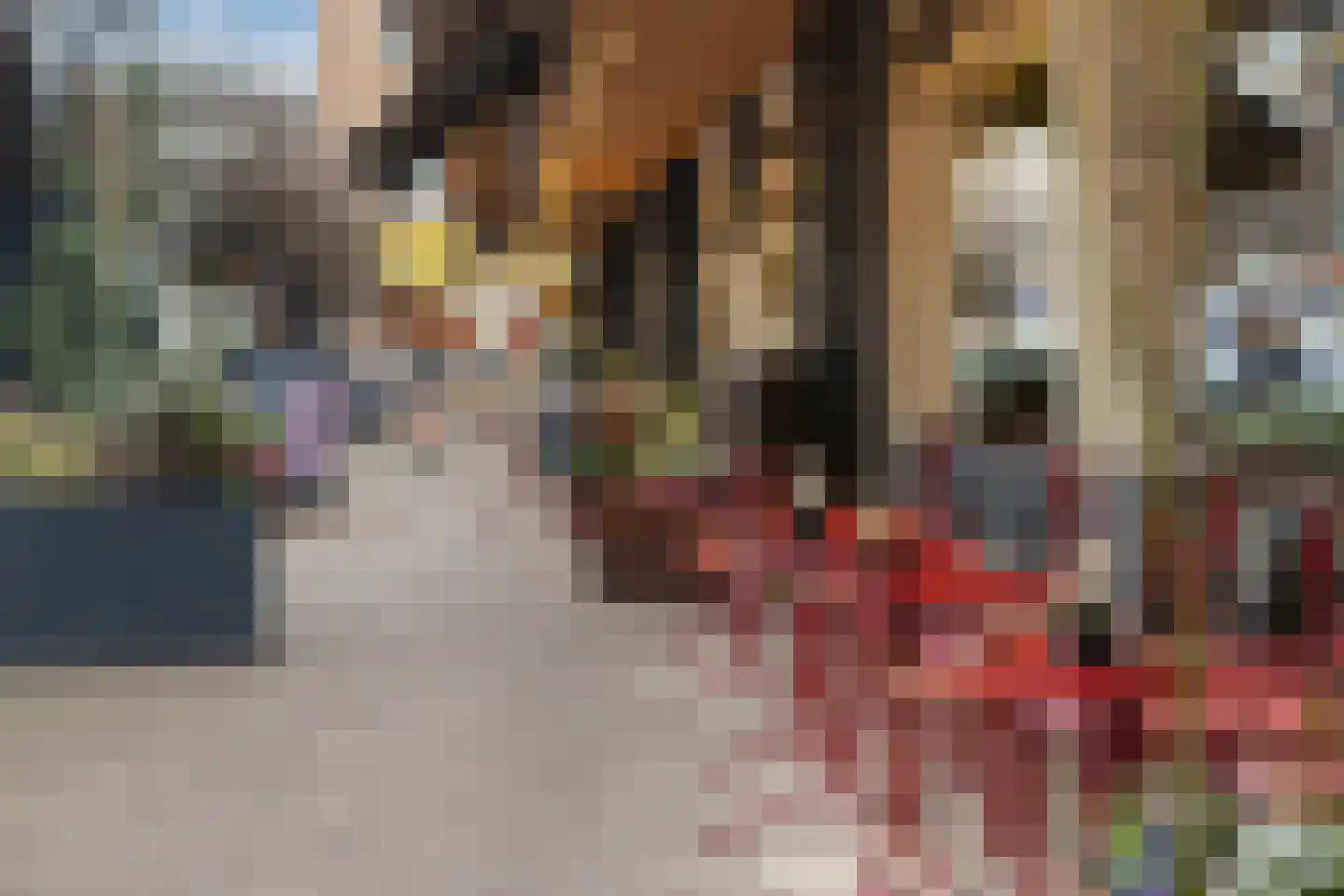 Kerstant van den Bergelaan 58 B Rotterdam thumbnail 29