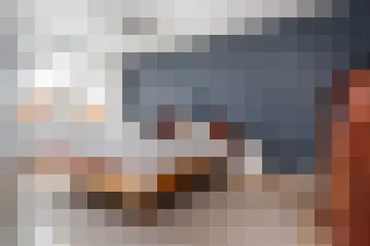 Kerstant van den Bergelaan 60 B Rotterdam thumbnail 16