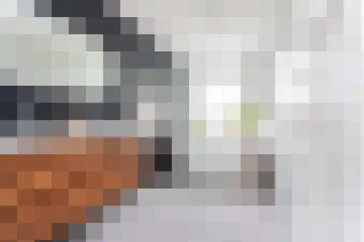 Kerstant van den Bergelaan 60 B Rotterdam thumbnail 20