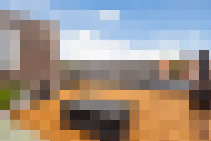 Kerstant van den Bergelaan 60 B Rotterdam thumbnail 27