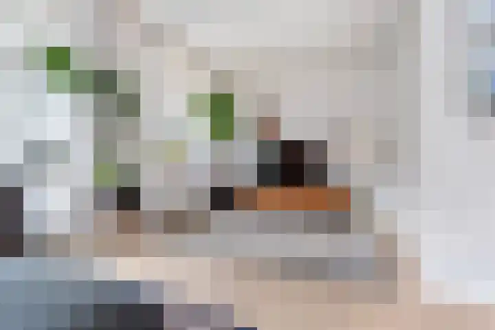 Kerstant van den Bergelaan 60 B Rotterdam thumbnail 5