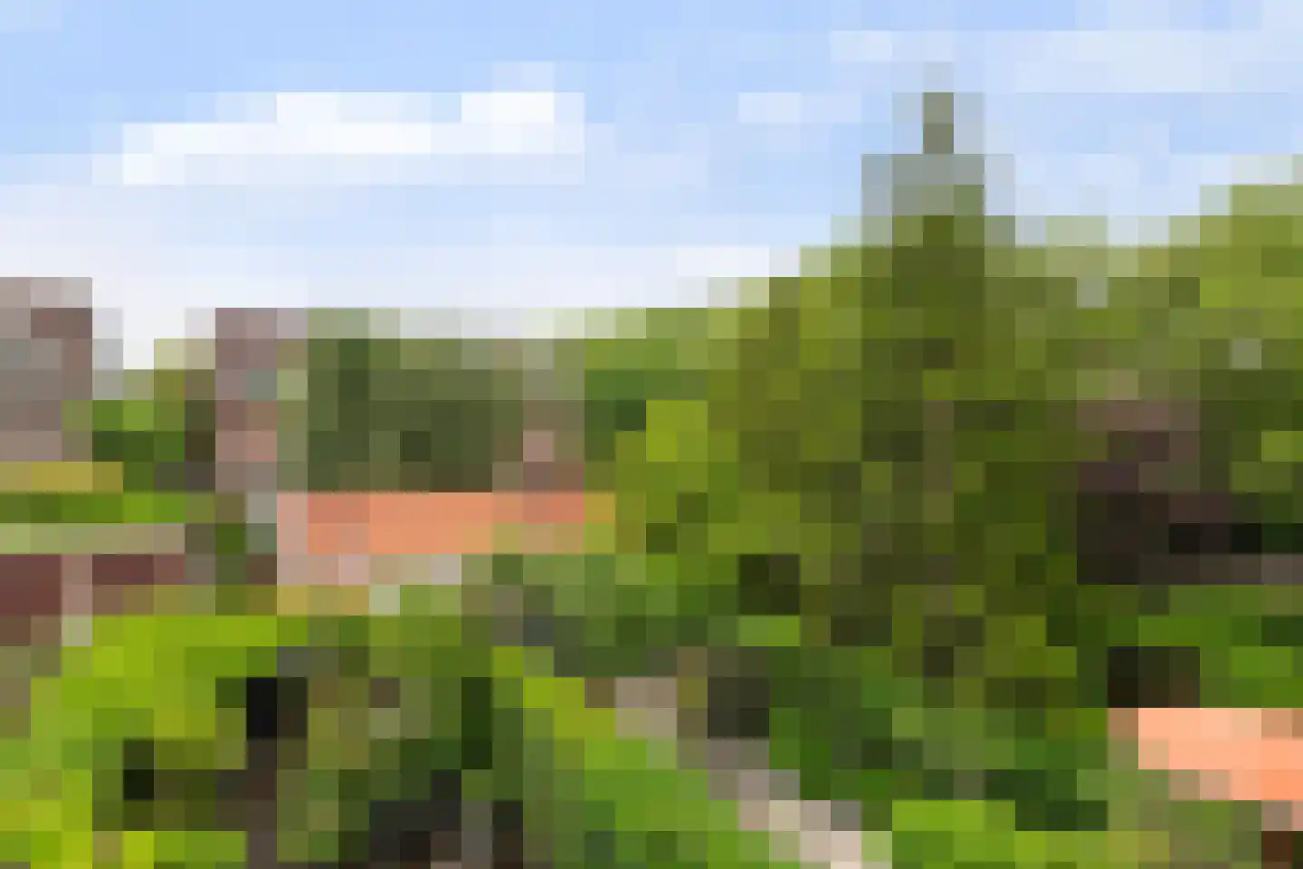 Kerstant van den Bergelaan 61 B Rotterdam thumbnail 10
