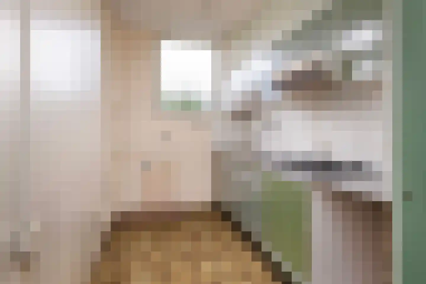 Kerstant van den Bergelaan 61 B Rotterdam thumbnail 11