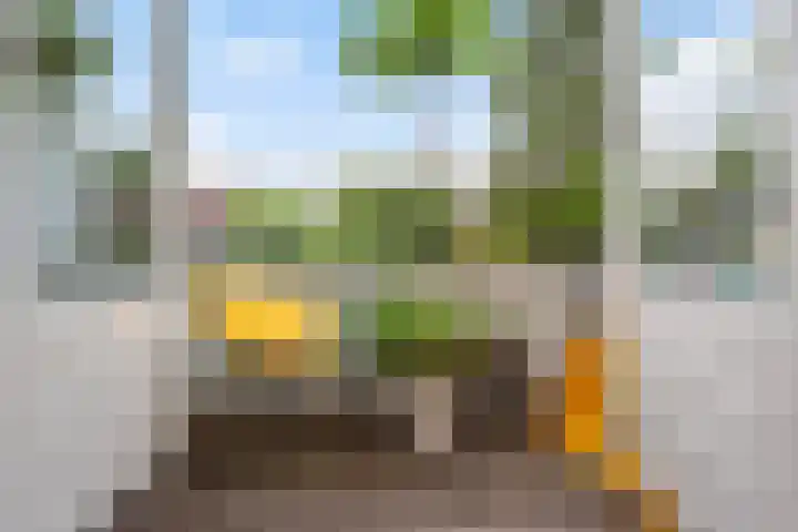 Kerstant van den Bergelaan 63 B Rotterdam thumbnail 5