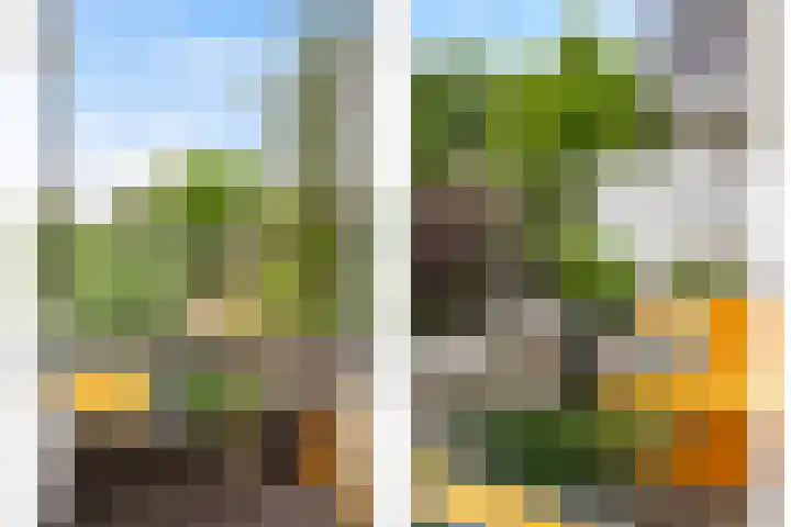 Kerstant van den Bergelaan 63 B Rotterdam thumbnail 6