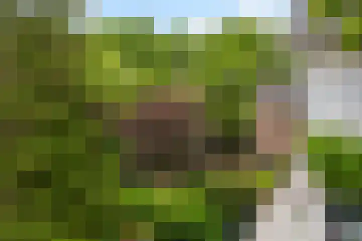 Kerstant van den Bergelaan 63 B Rotterdam thumbnail 7