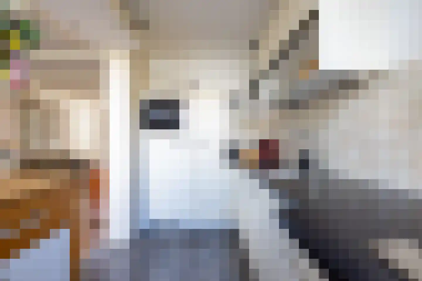 Kerstant van den Bergelaan 64 A Rotterdam thumbnail 20