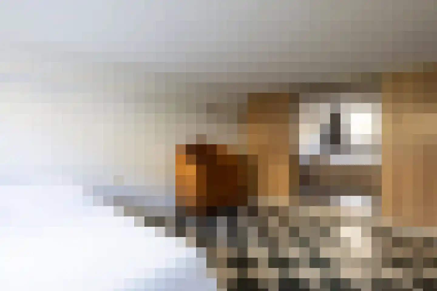 Kerstant van den Bergelaan 64 A Rotterdam thumbnail 29