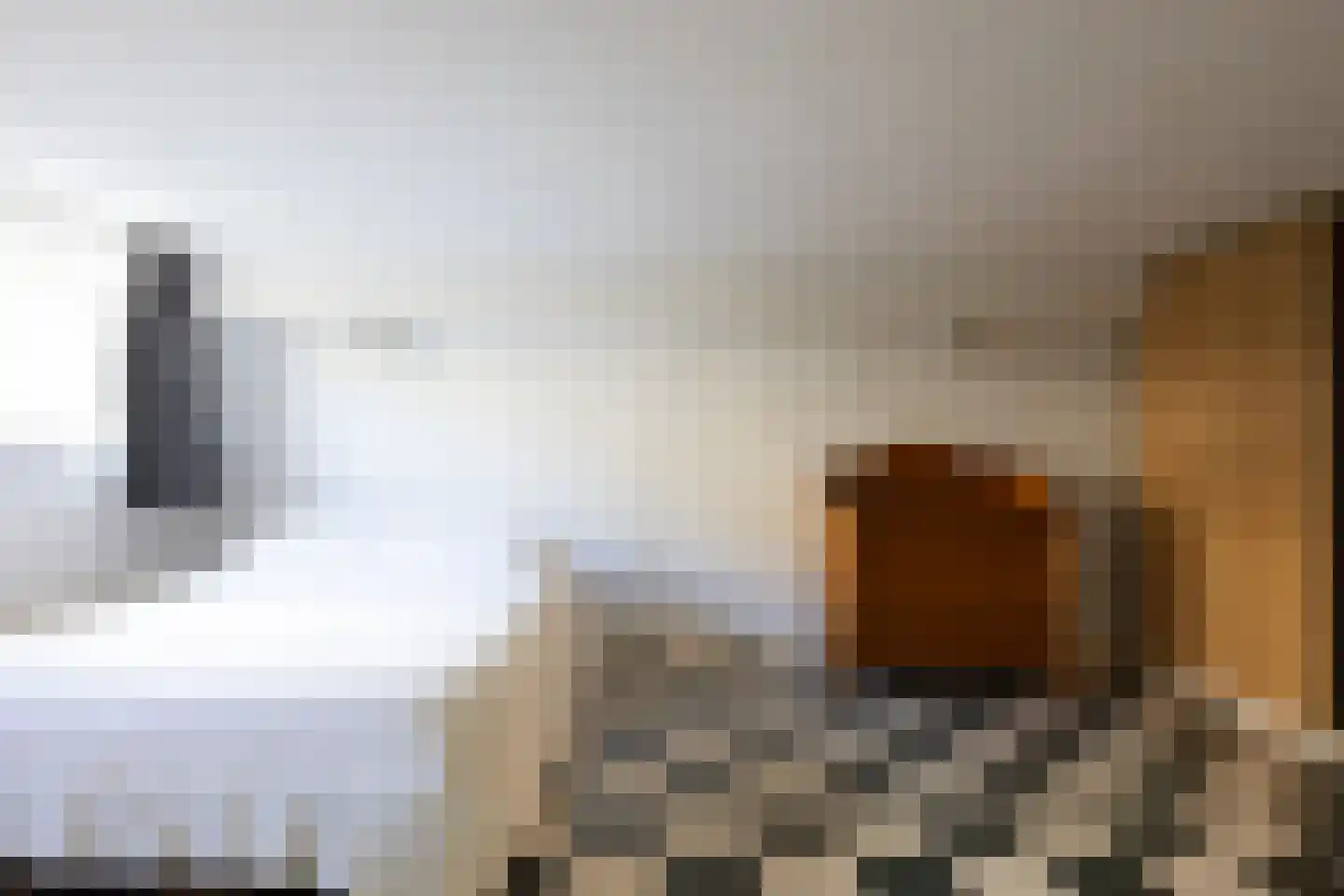 Kerstant van den Bergelaan 64 A Rotterdam thumbnail 31