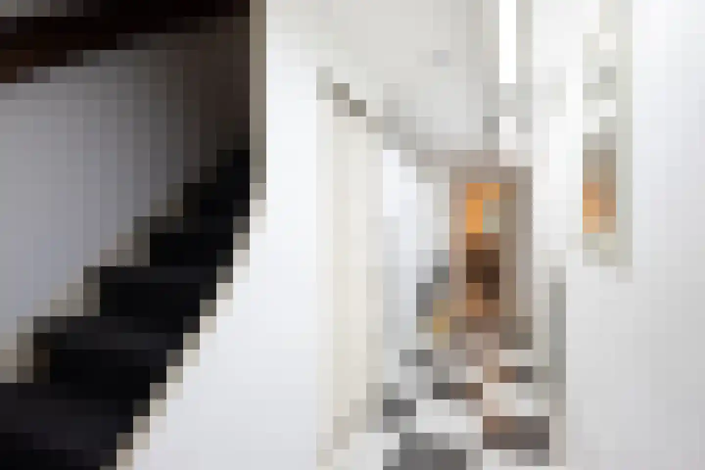 Kerstant van den Bergelaan 64 A Rotterdam thumbnail 32