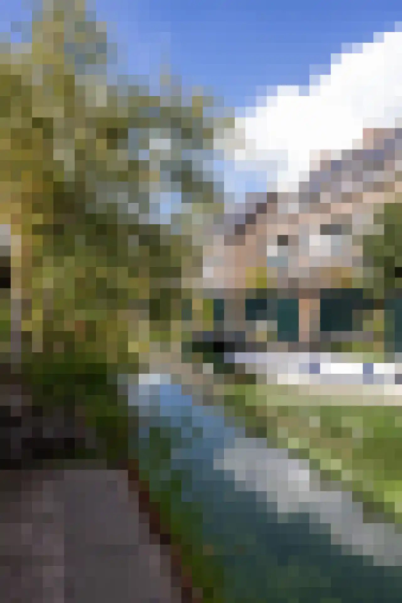 Kerstant van den Bergelaan 64 A Rotterdam thumbnail 45