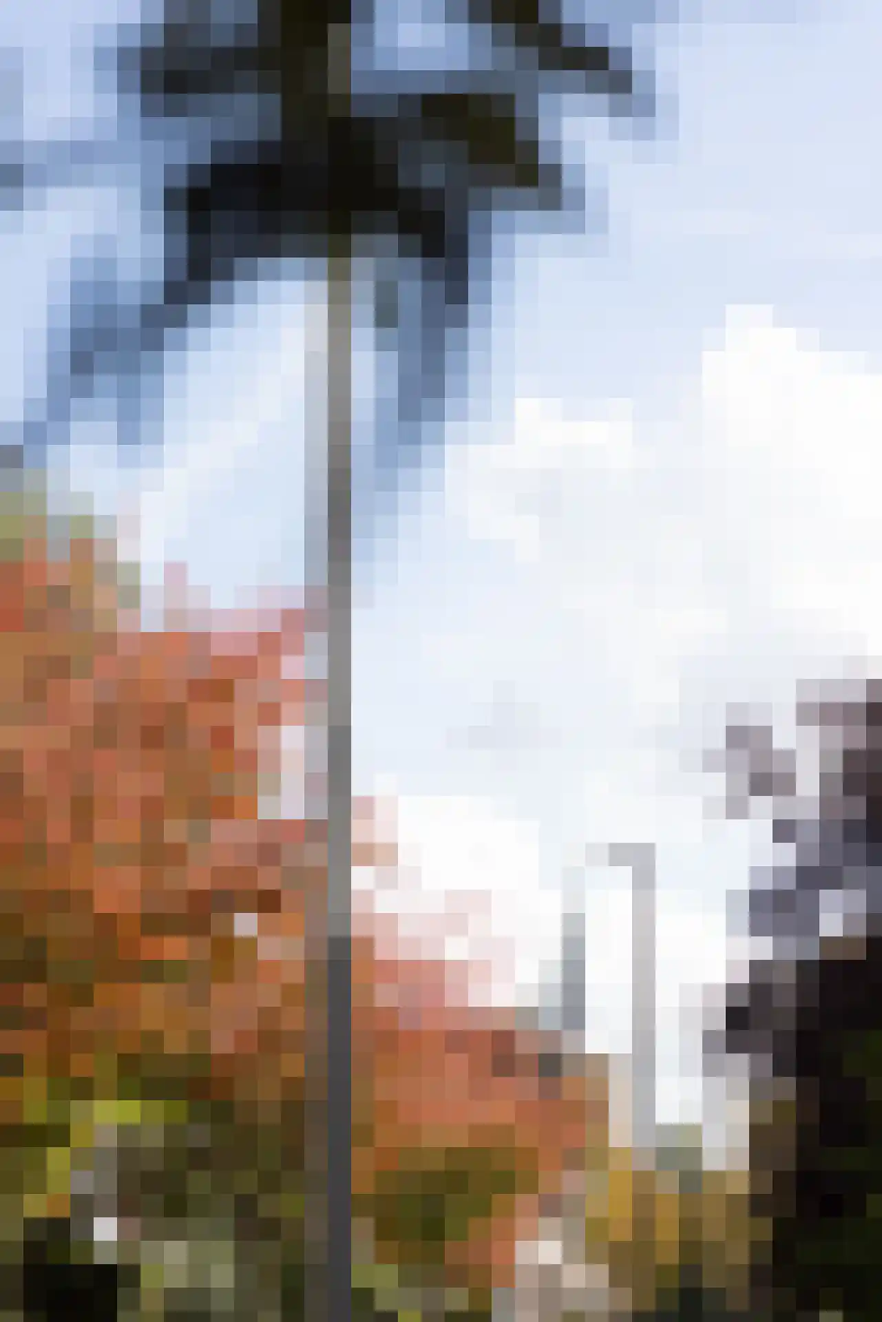 Kerstant van den Bergelaan 64 A Rotterdam thumbnail 51