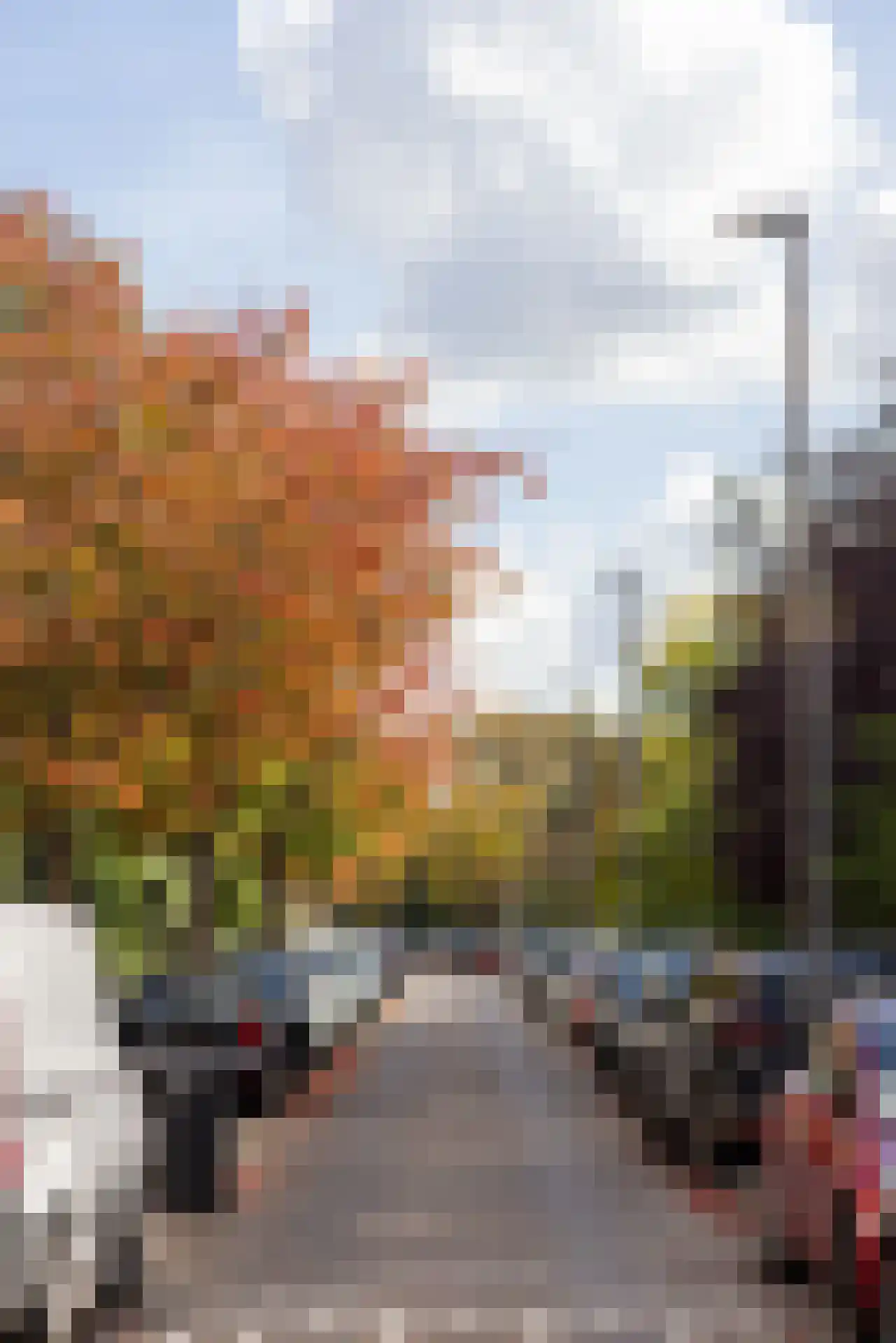 Kerstant van den Bergelaan 64 A Rotterdam thumbnail 52