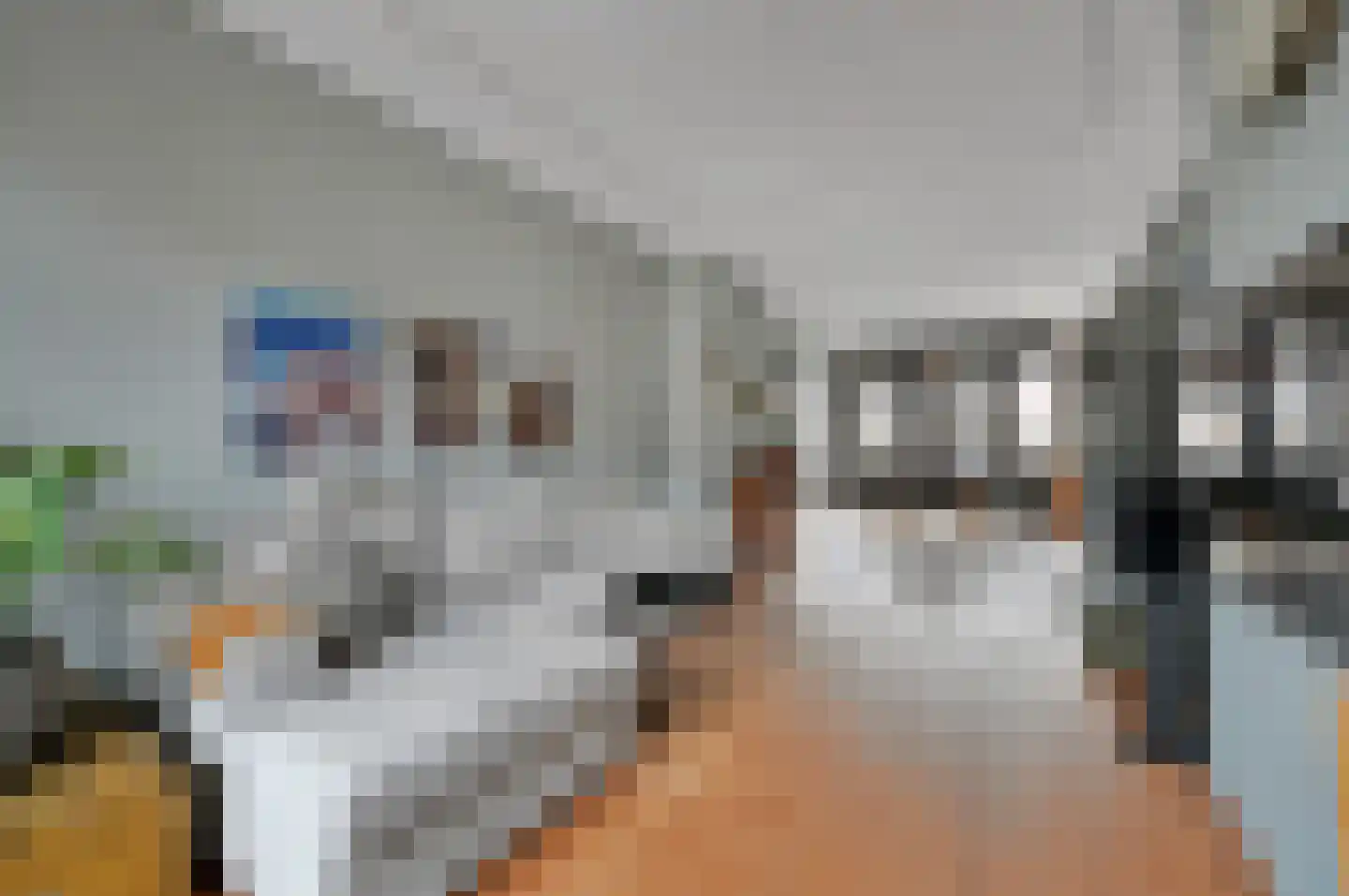 Kerstant van den Bergelaan 76 A Rotterdam thumbnail 12