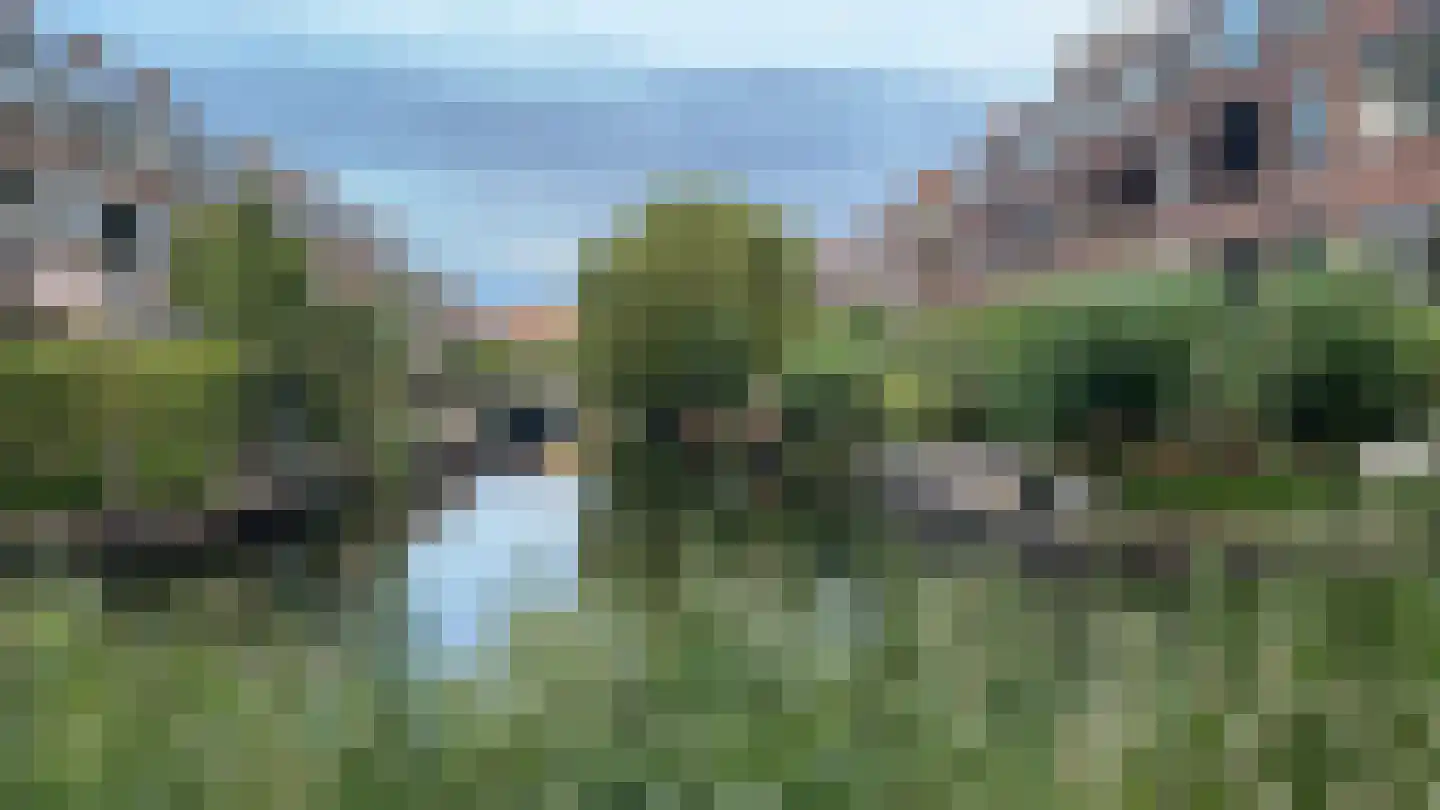 Kerstant van den Bergelaan 76 A Rotterdam thumbnail 39