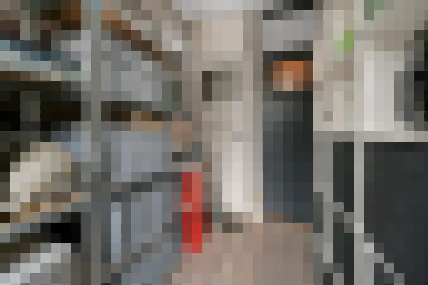 Kerstant van den Bergelaan 76 A Rotterdam thumbnail 7