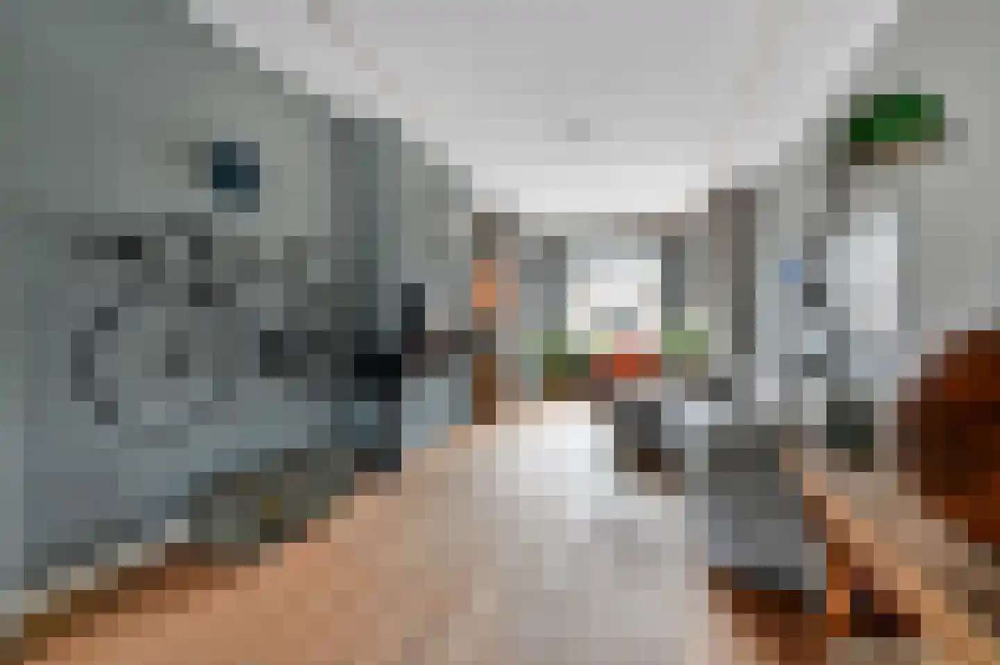 Kerstant van den Bergelaan 76 B Rotterdam thumbnail 11